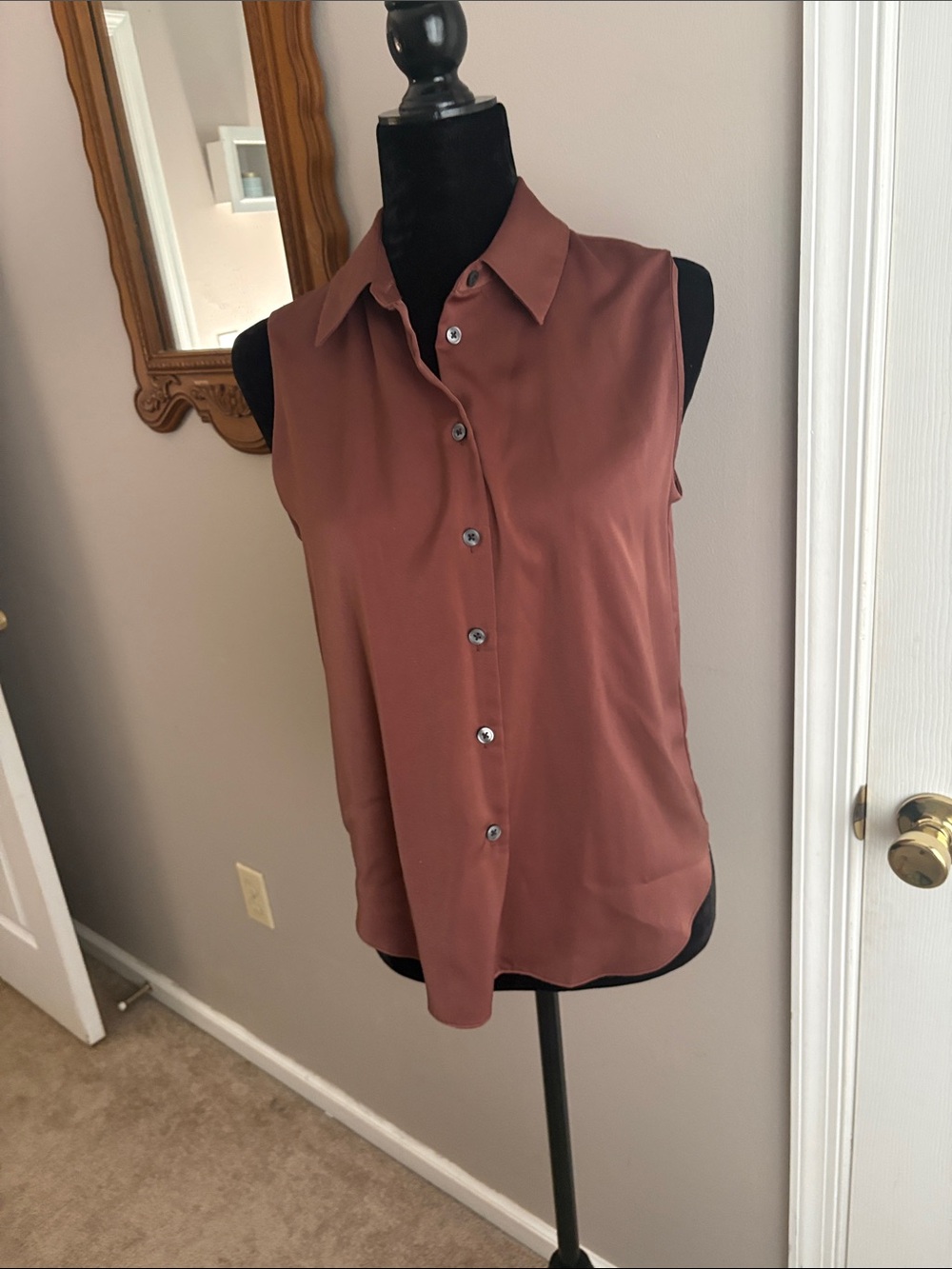 Banana Republic Sleeveless Button-Front Blouse in Terracotta - Picture 4 of 6